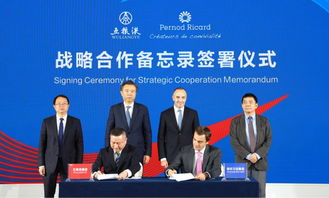五糧液與保樂力加強強聯(lián)合 簽署戰(zhàn)略合作諒解備忘錄，共繪全球酒業(yè)共贏發(fā)展新藍圖